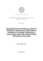 prikaz prve stranice dokumenta Regenerativni potencijal zrelih i nezrelih presadaka dobivenih iz hondrocita nosne pregrade u cijeljenju koštano-hrskavičnih oštećenja koljena