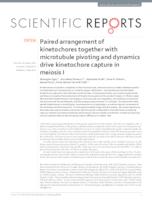 prikaz prve stranice dokumenta Paired arrangement of kinetochores together with microtubule pivoting and dynamics drive kinetochore capture in meiosis I