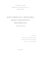 prikaz prve stranice dokumenta Kosti i hrskavica: histološka građa, ograničenja i regeneracija