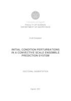 prikaz prve stranice dokumenta Initial condition perturbations in a convective scale ensemble prediction system