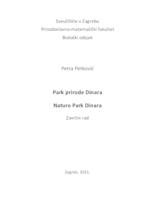 prikaz prve stranice dokumenta Park prirode Dinara