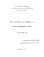 prikaz prve stranice dokumenta Viruses in tumor pathogenesis