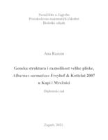 prikaz prve stranice dokumenta Genska struktura i raznolikost velike pliske, Alburnus sarmaticus Freyhof & Kottelat, 2007 u Kupi i Mrežnici