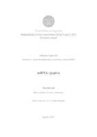 prikaz prve stranice dokumenta mRNA cjepiva